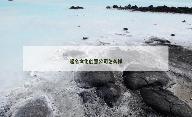 起名文化创意公司怎么样