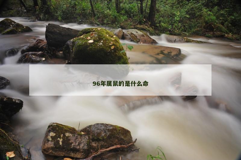 96年属鼠的是什么命