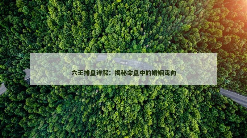 六壬排盘详解：揭秘命盘中的婚姻走向