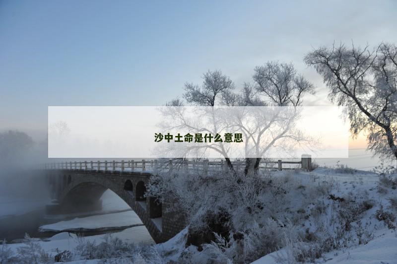 沙中土命是什么意思