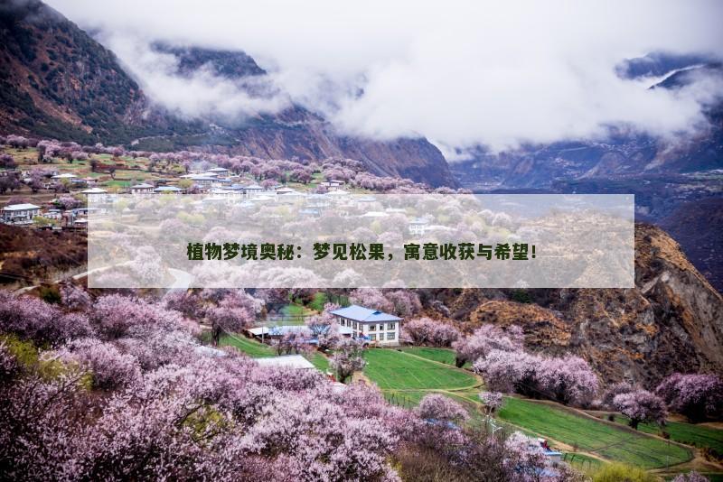 植物梦境奥秘：梦见松果，寓意收获与希望！